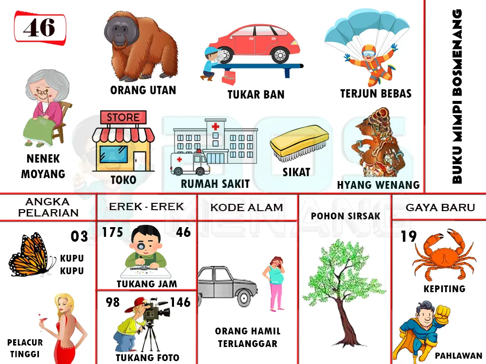 buku mimpi erek erek togel 46
